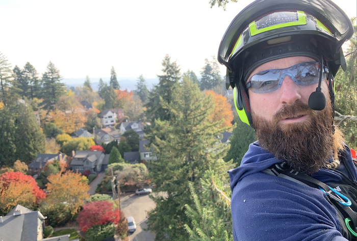 meet your arborist damien carre