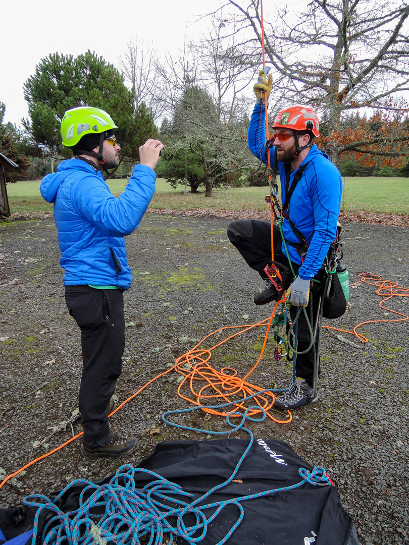 what our certified arborists can do for you oregon tree care