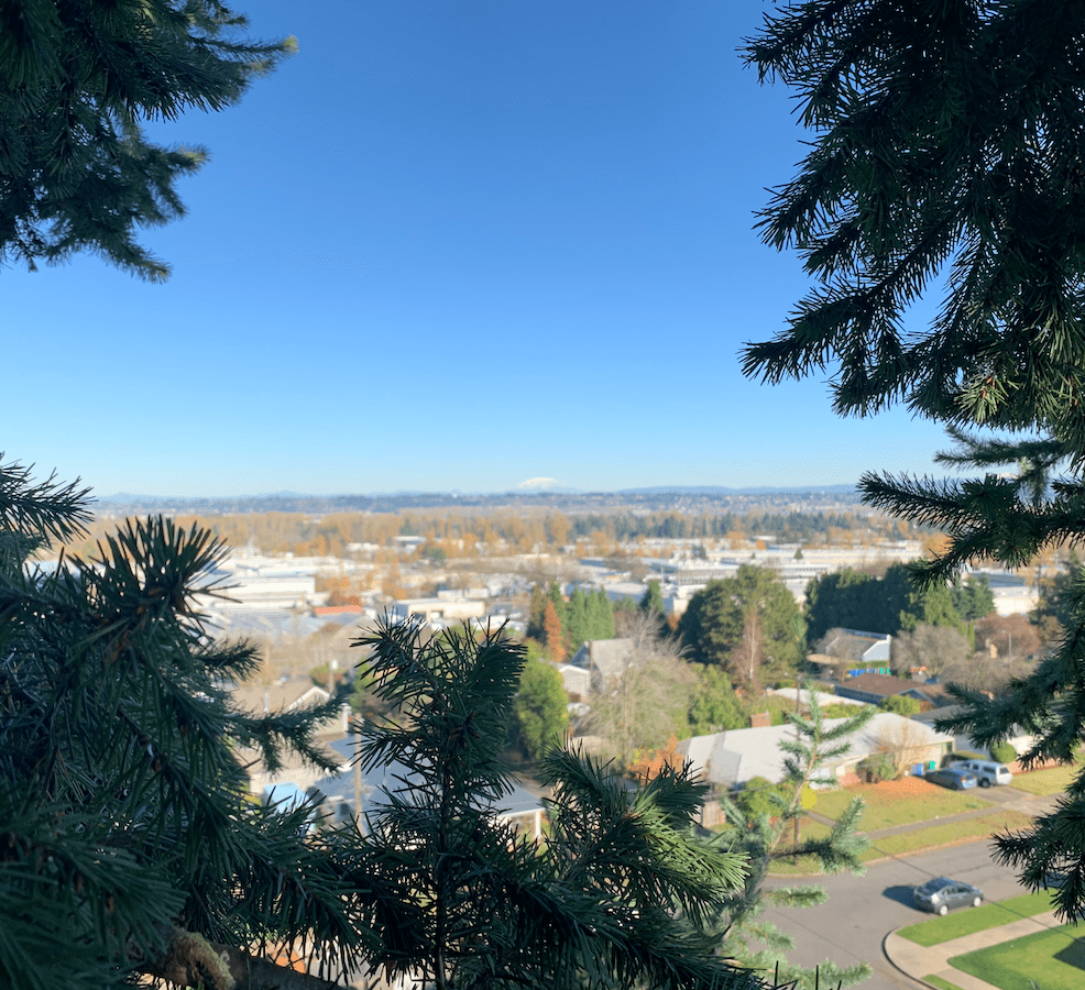 tree permits oregon care