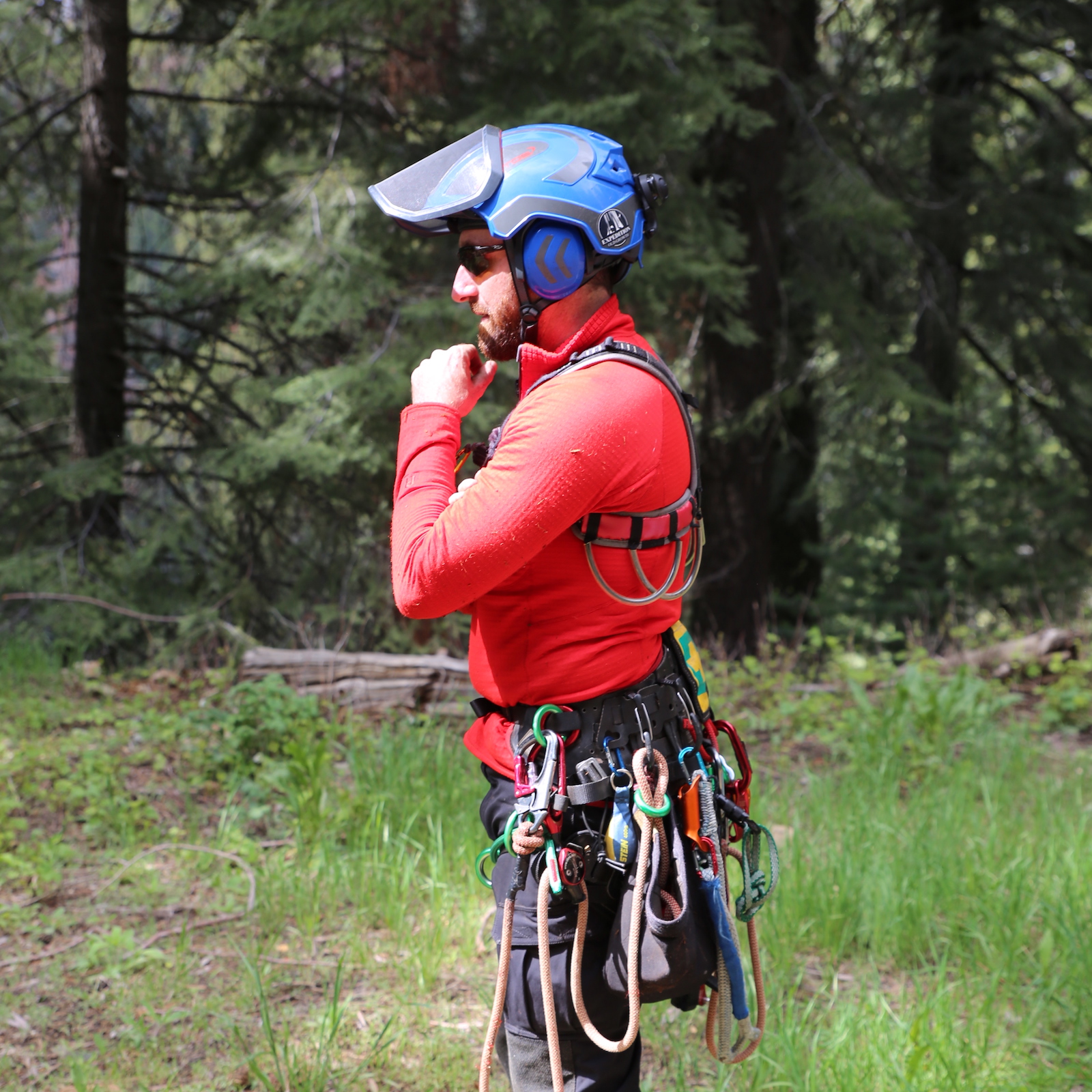 cable and braces question oregon tree care
