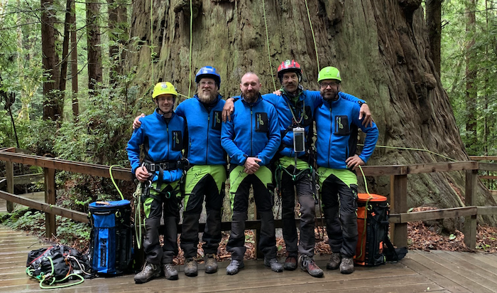 oregon tree care