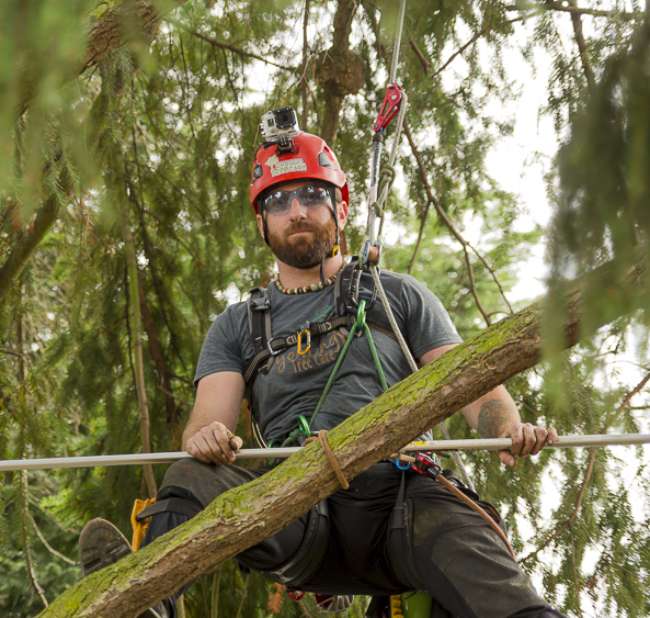 what services do we offer oregon tree care