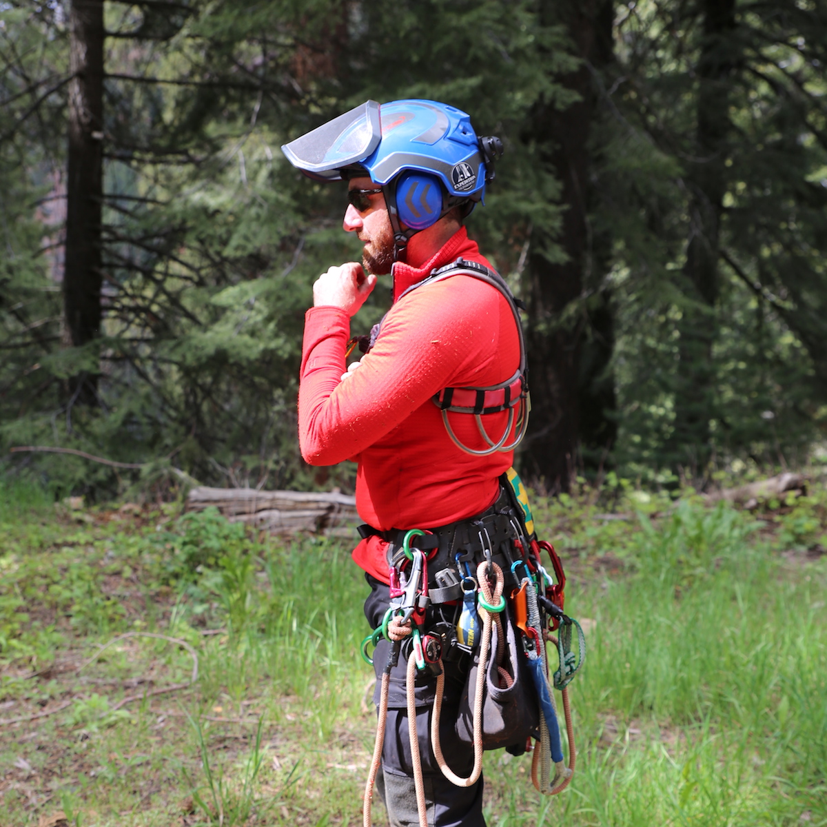 tree planting question oregon tree care