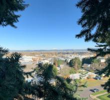 what it is like to work with oregon tree care